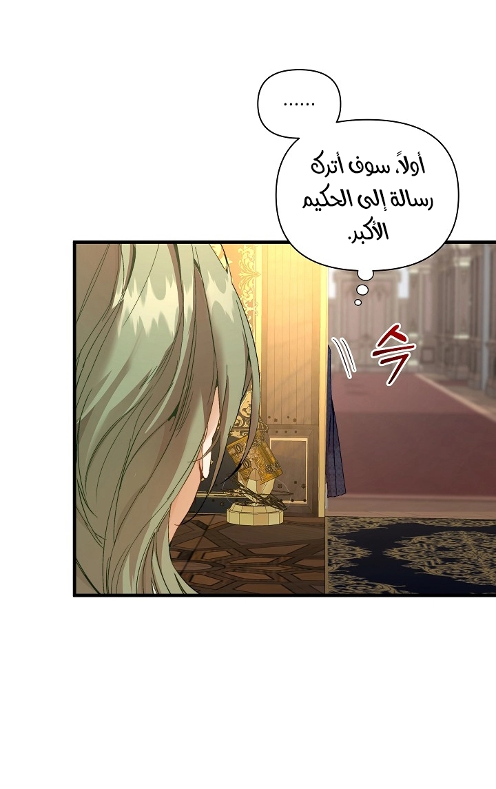 الصفحة 43