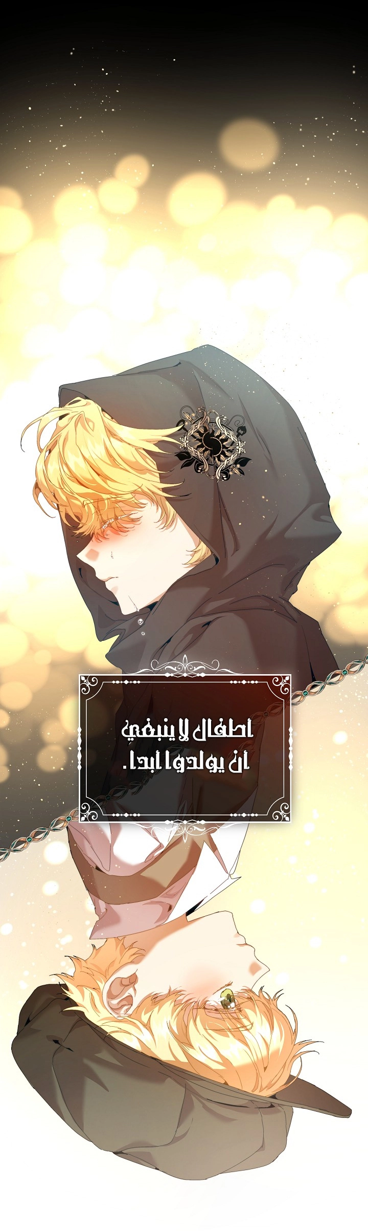 الصفحة 14
