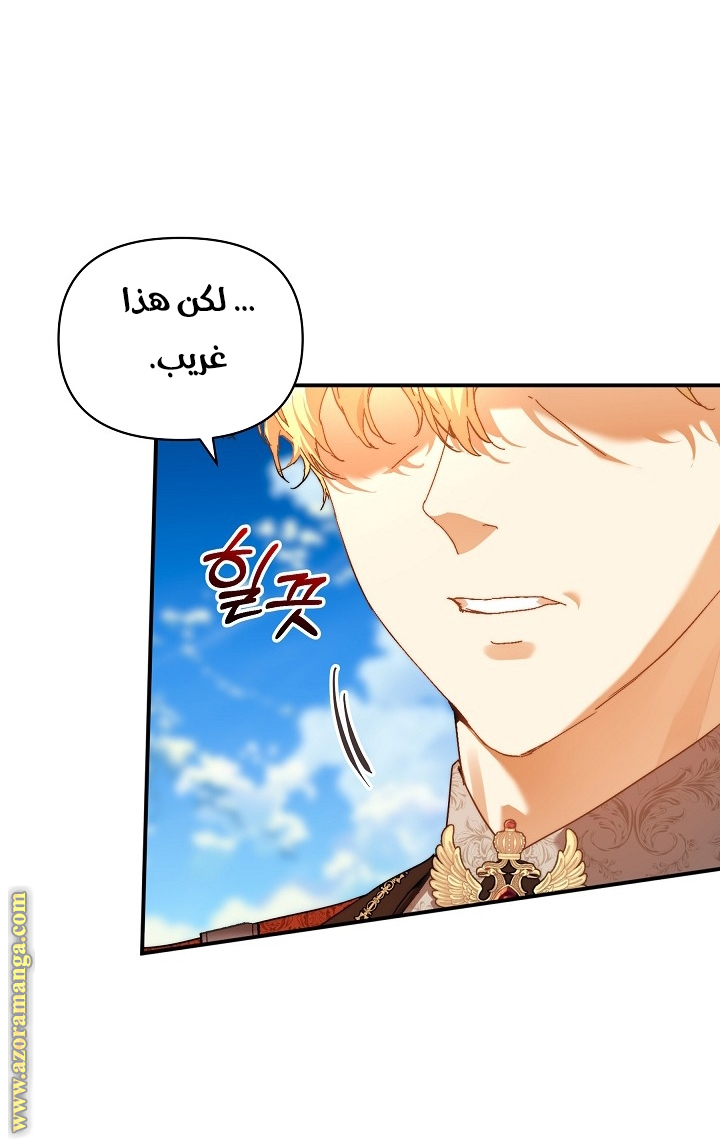 الصفحة 28