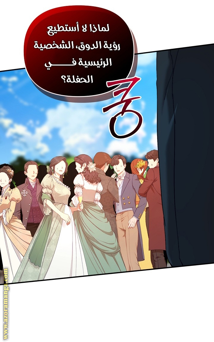 الصفحة 29
