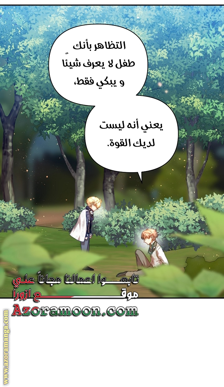 الصفحة 41