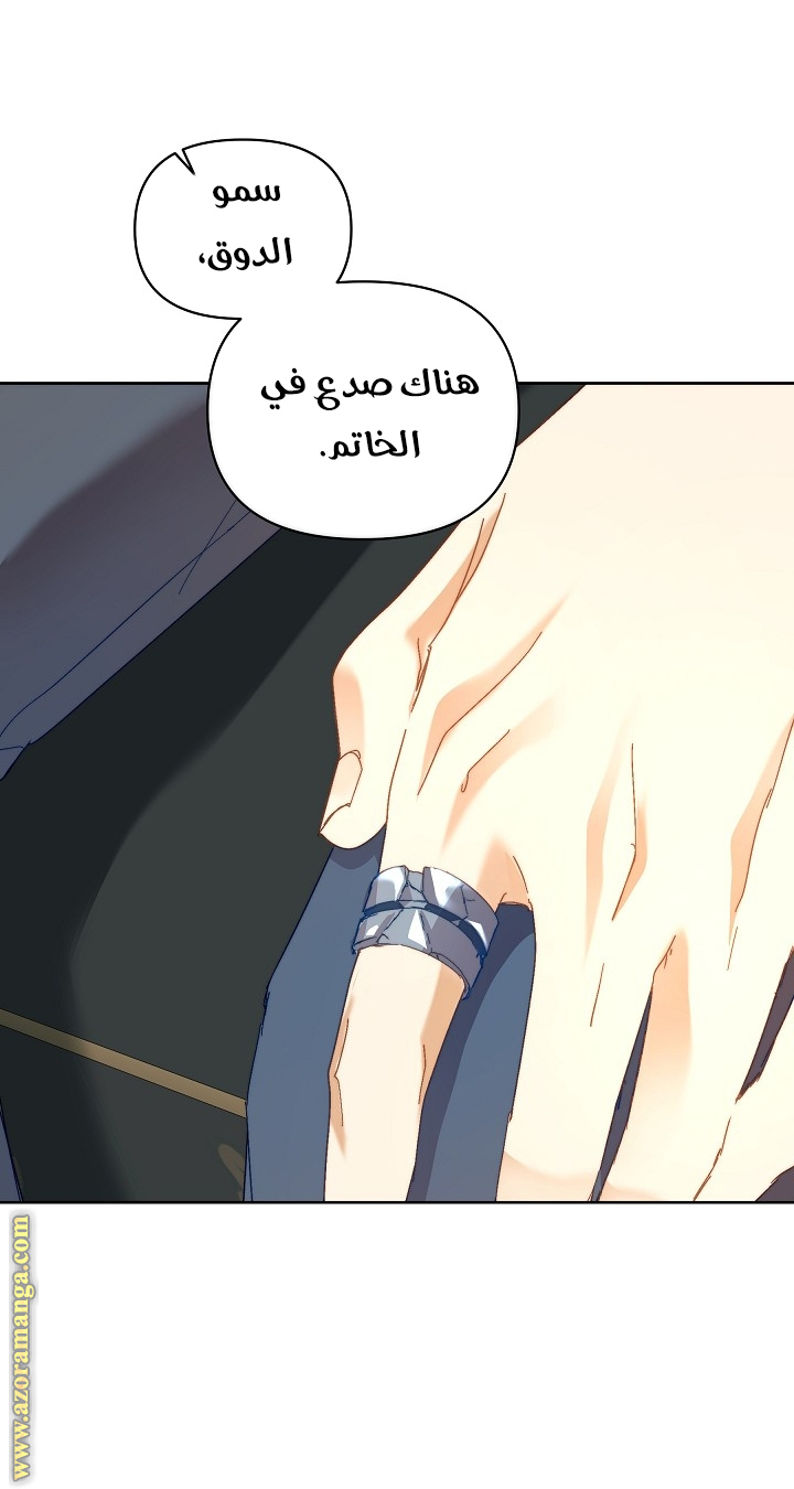 الصفحة 15