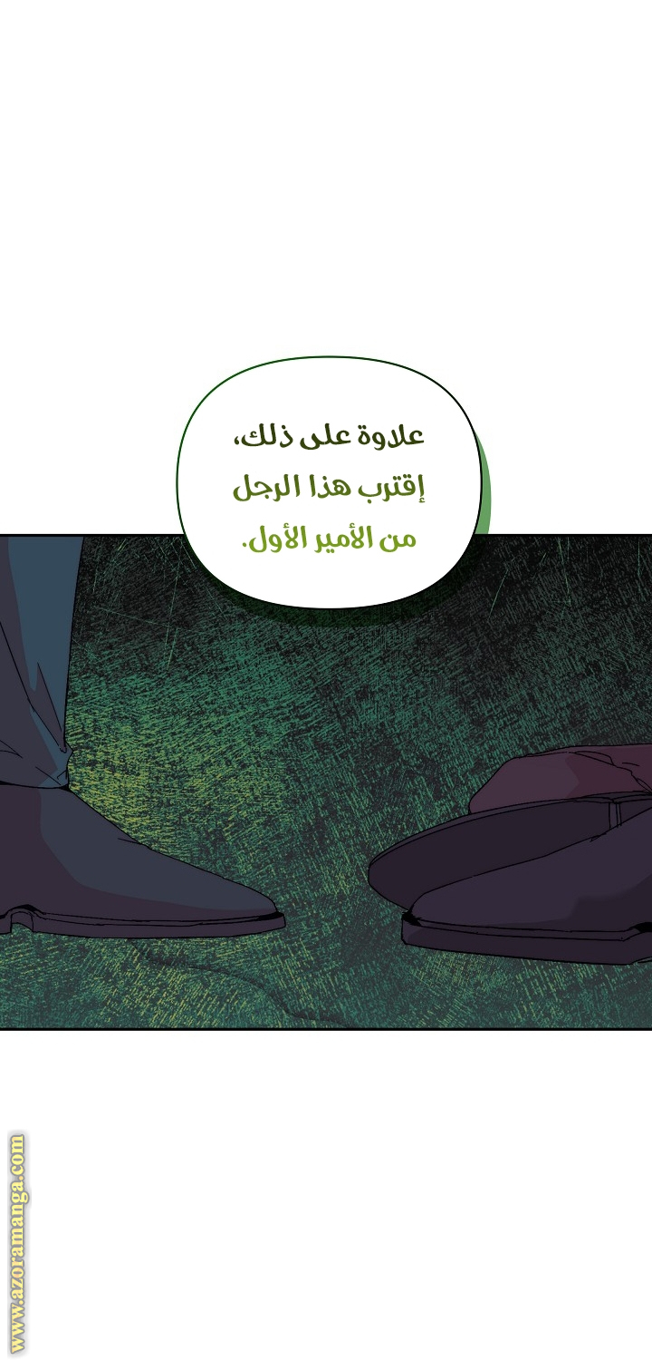 الصفحة 39