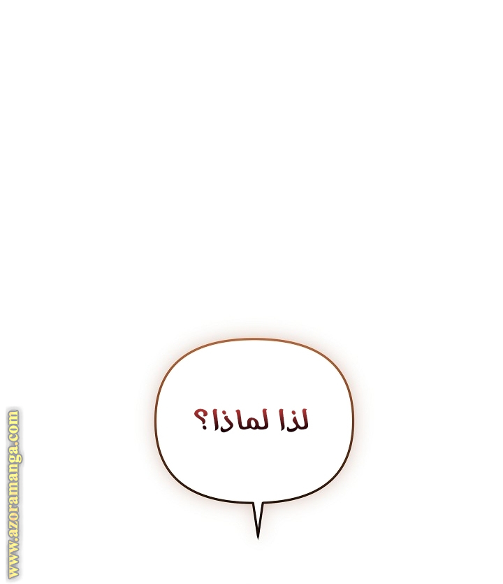الصفحة 52