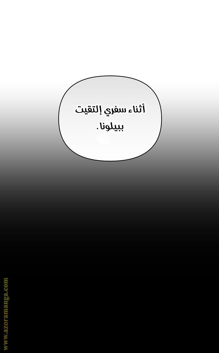 الصفحة 29
