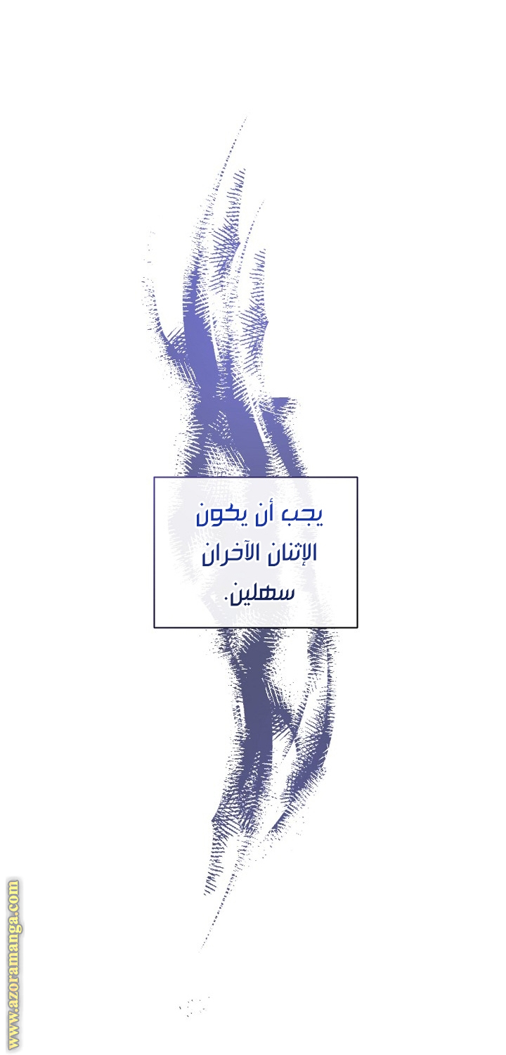 الصفحة 41