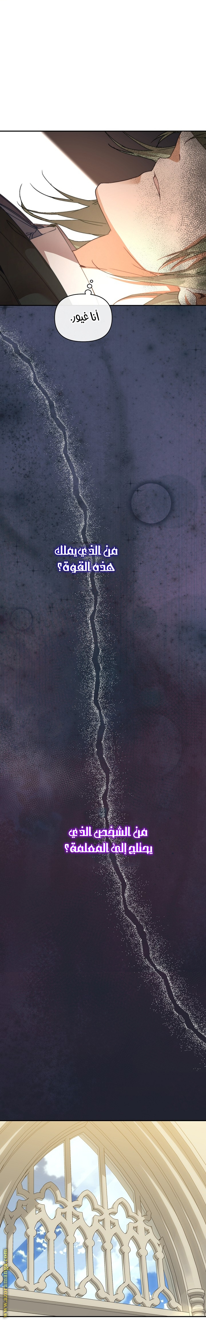 الصفحة 25
