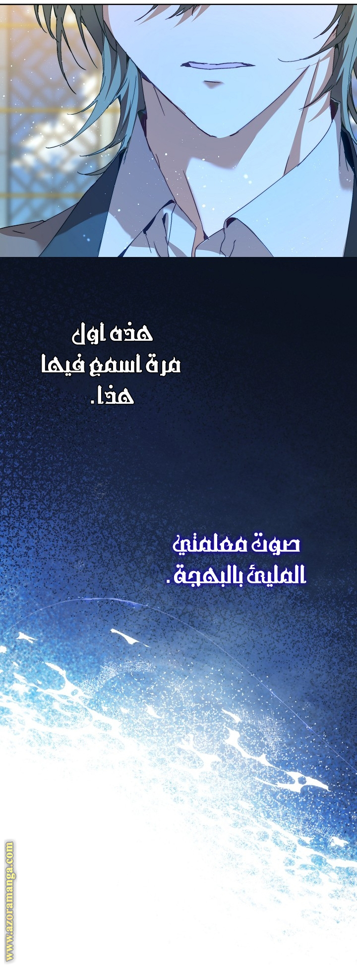 الصفحة 17