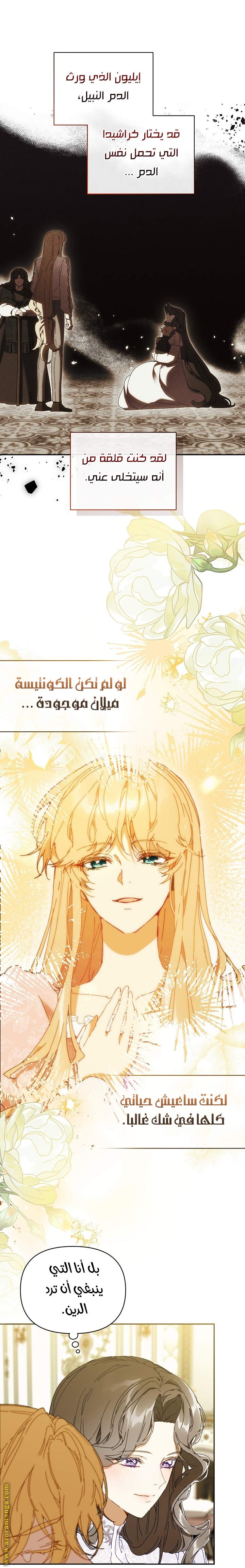 الصفحة 19