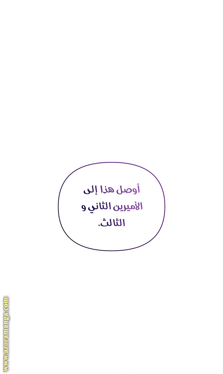 الصفحة 43