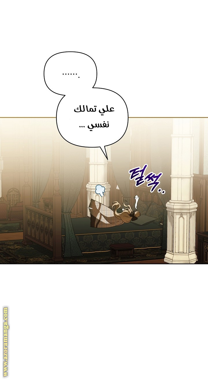 الصفحة 25