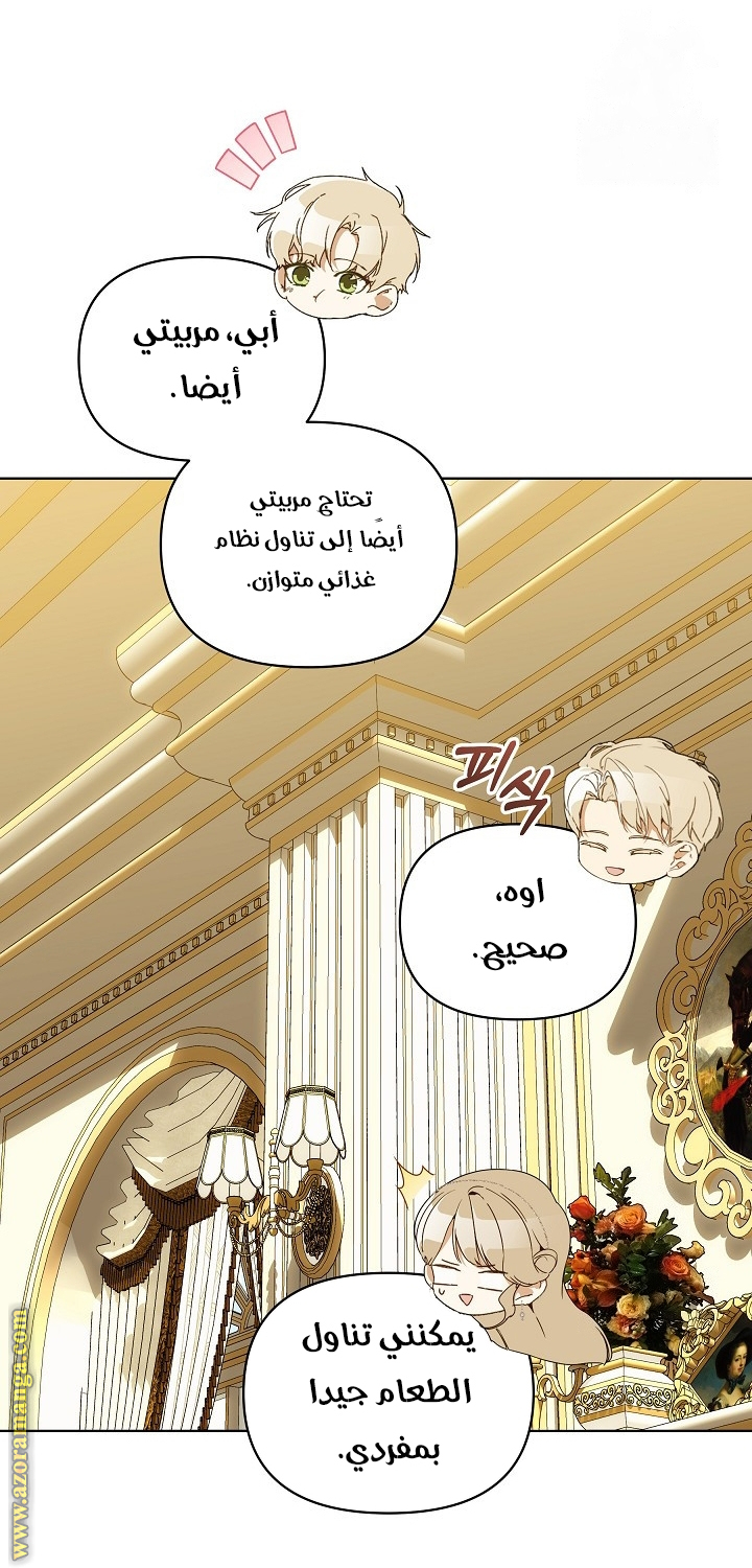 الصفحة 48