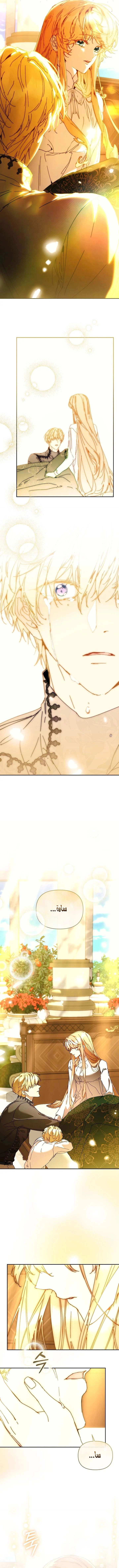 الصفحة 2