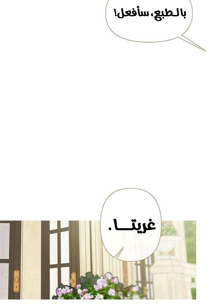الصفحة 28