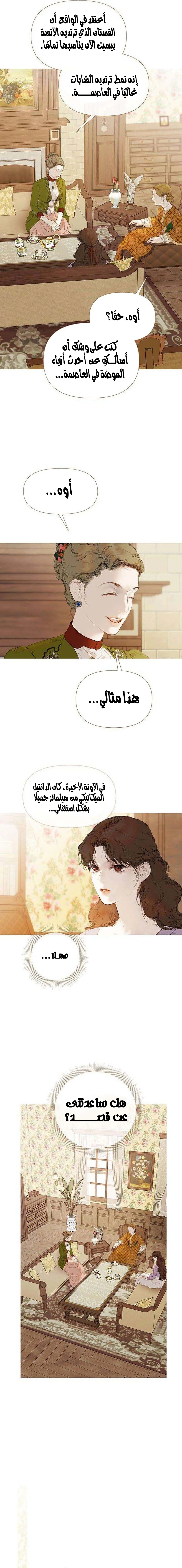 الصفحة 17