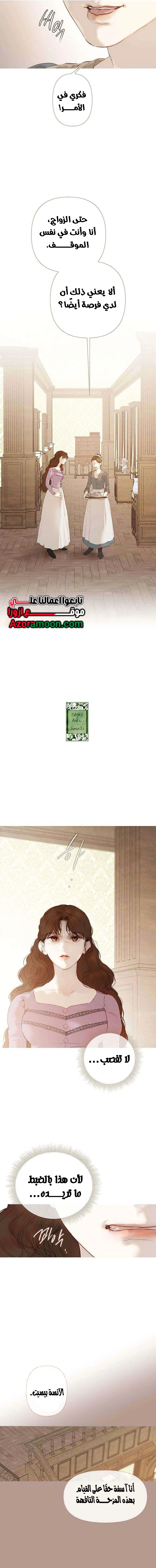 الصفحة 21