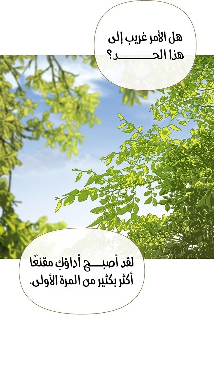 الصفحة 20