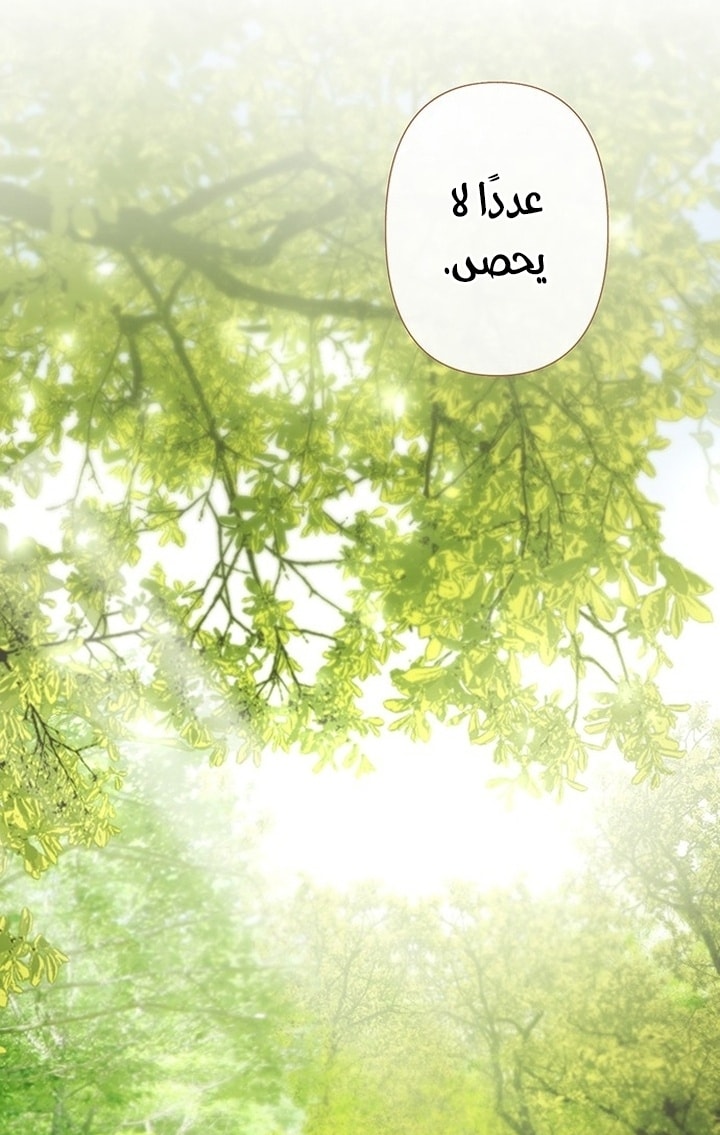 الصفحة 26