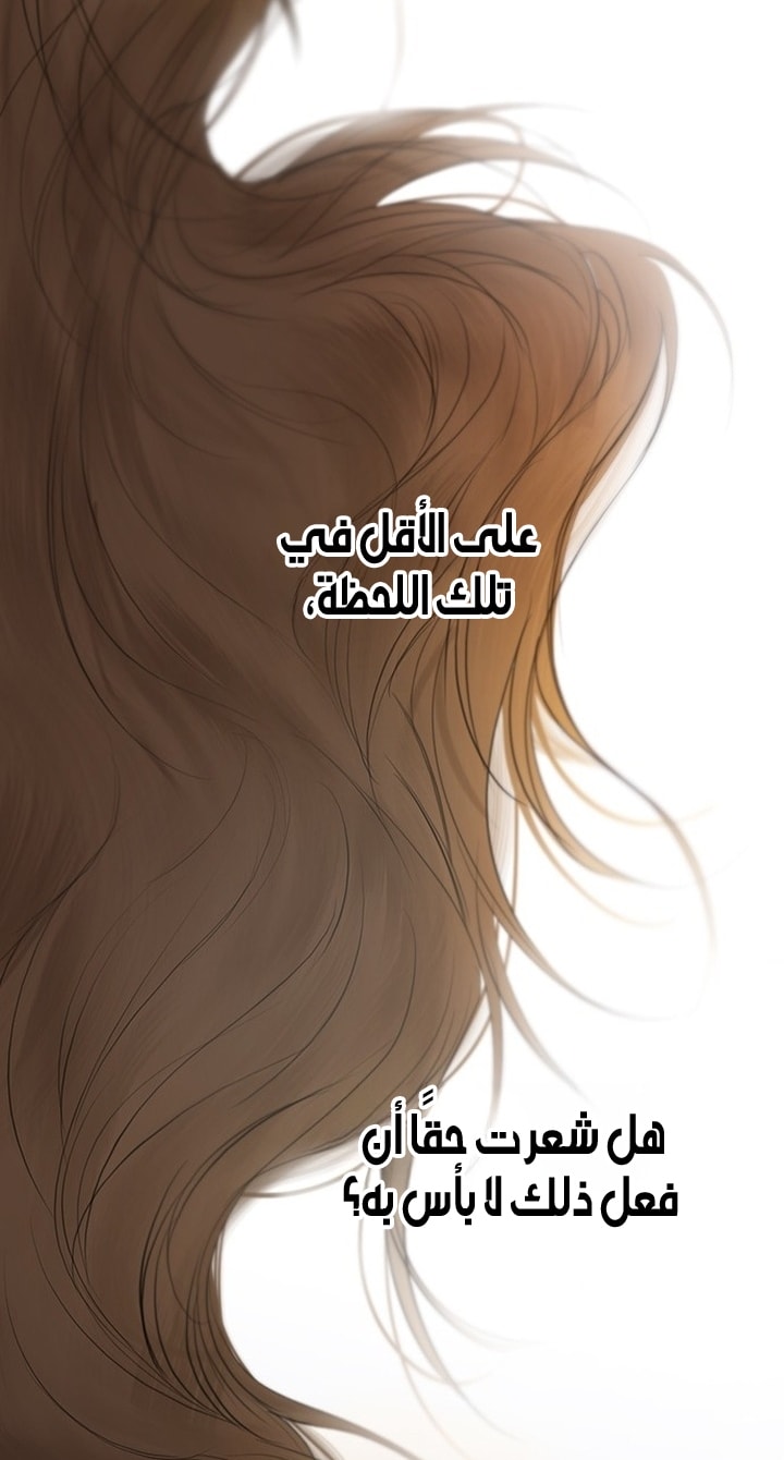 الصفحة 47