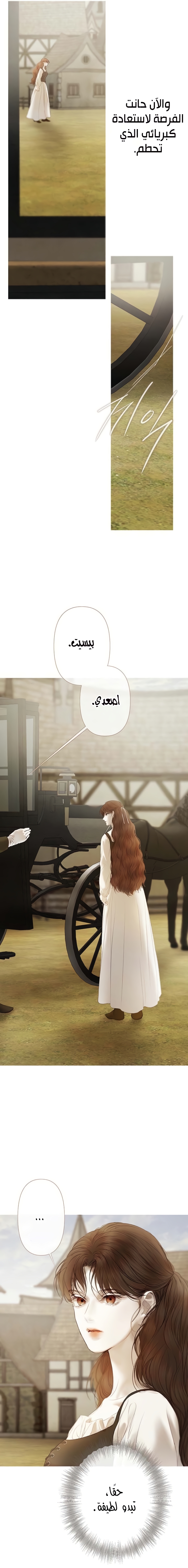 الصفحة 20
