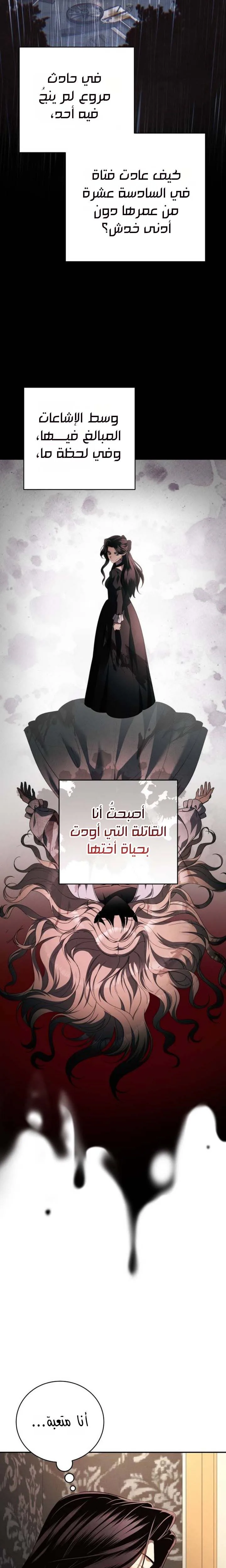 الصفحة 29