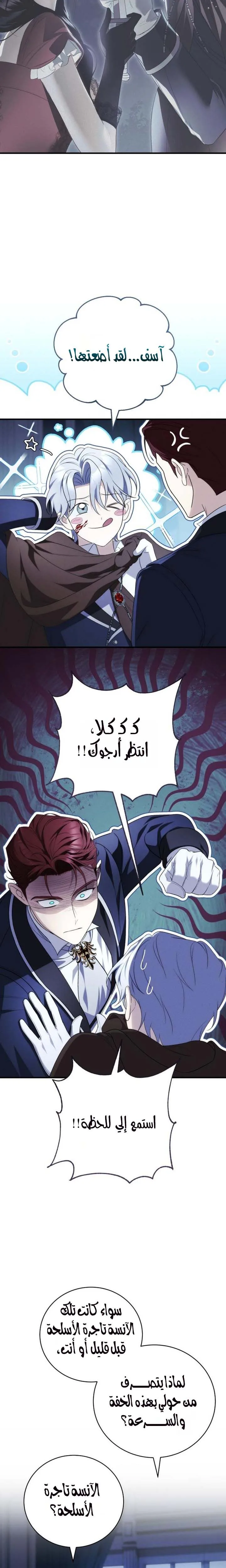 الصفحة 17