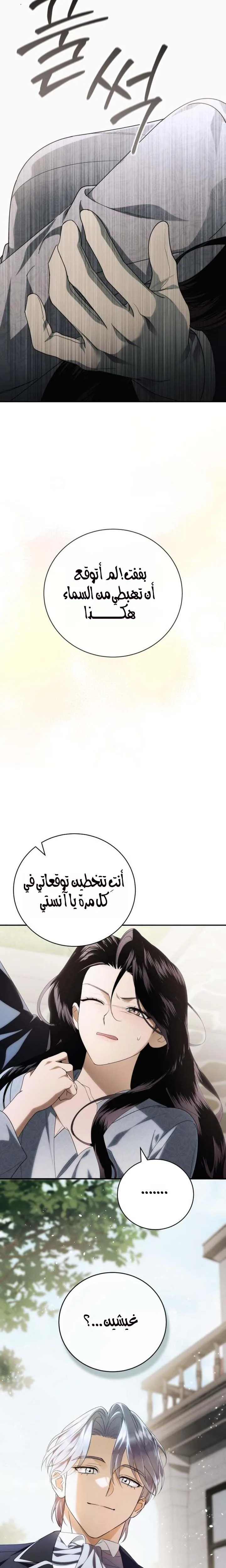 الصفحة 29