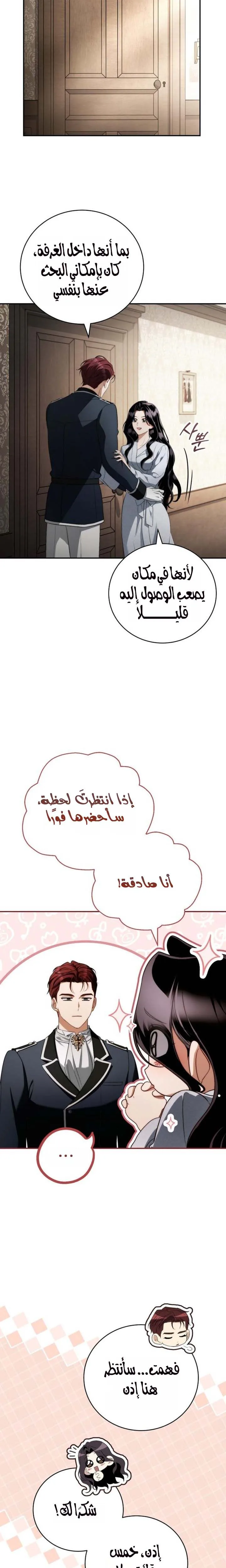 الصفحة 17