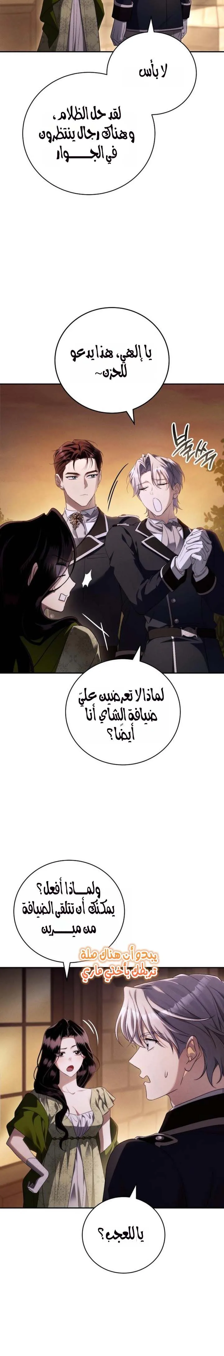 الصفحة 25