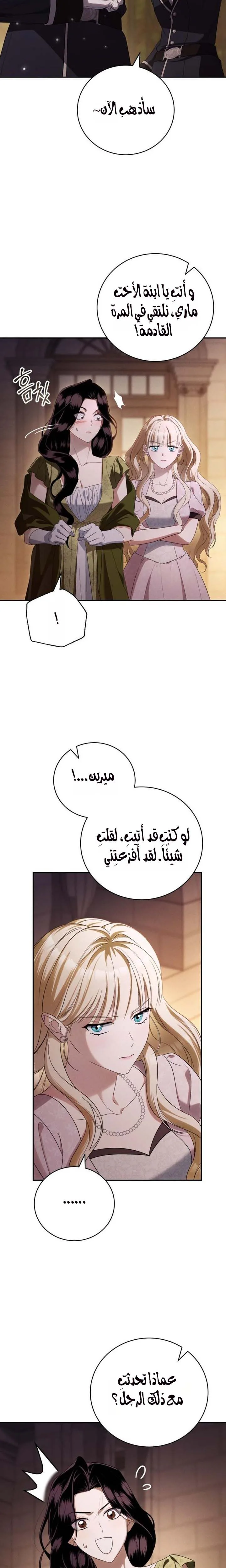 الصفحة 27