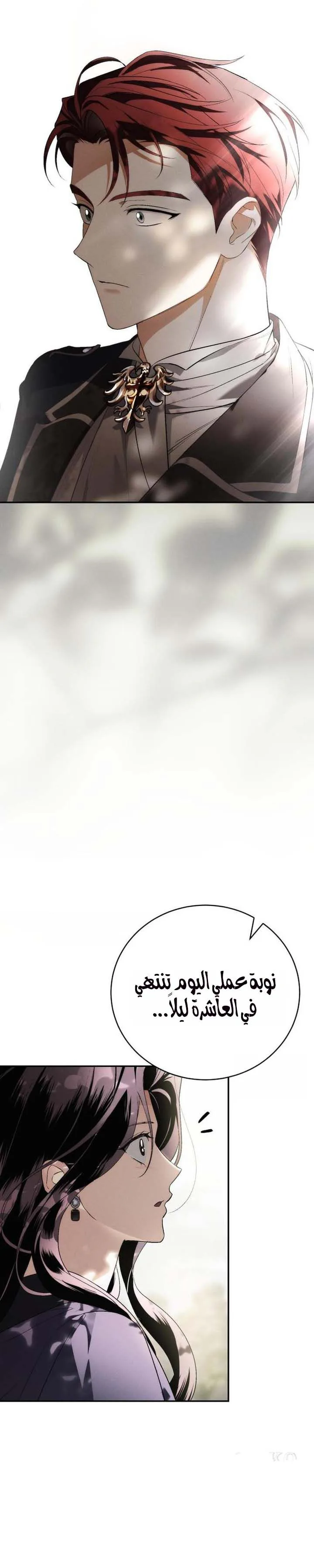 الصفحة 25