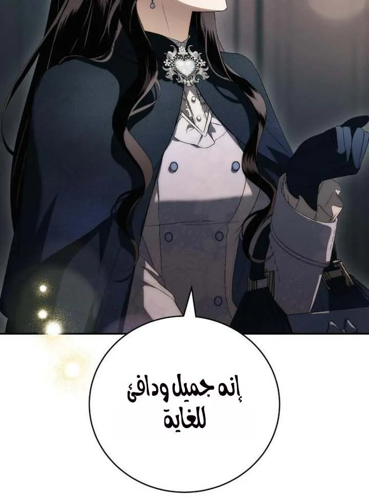 الصفحة 30