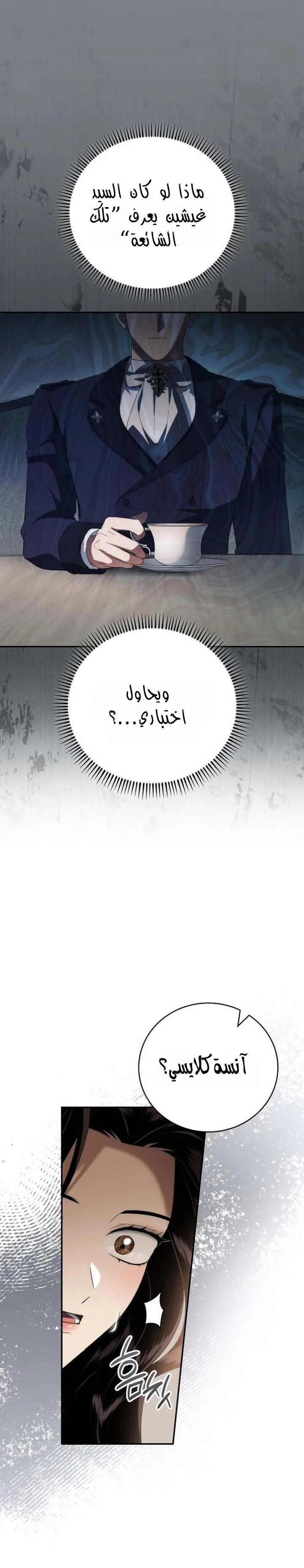 الصفحة 39
