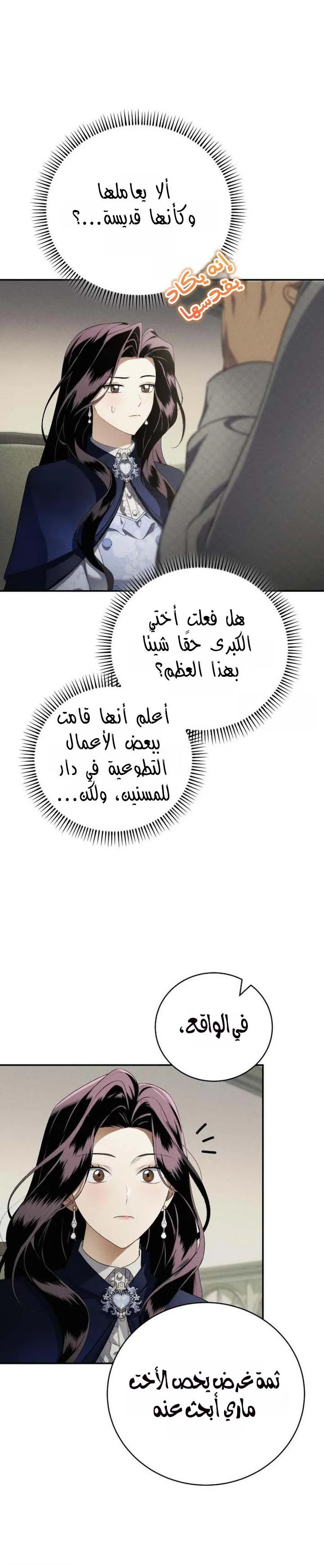 الصفحة 13