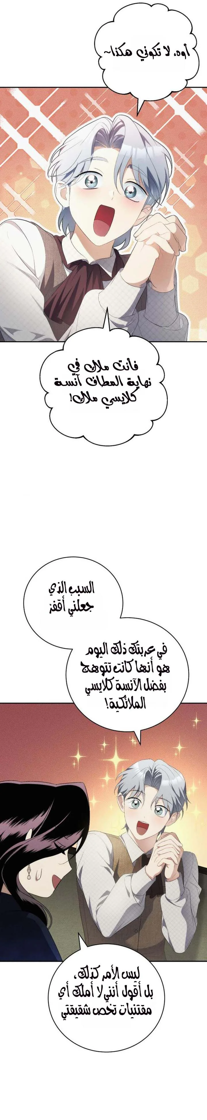 الصفحة 16