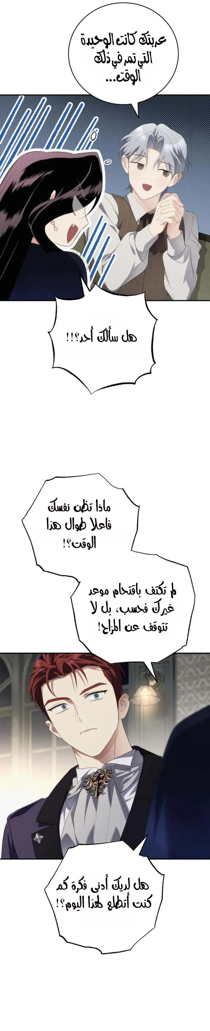 الصفحة 17