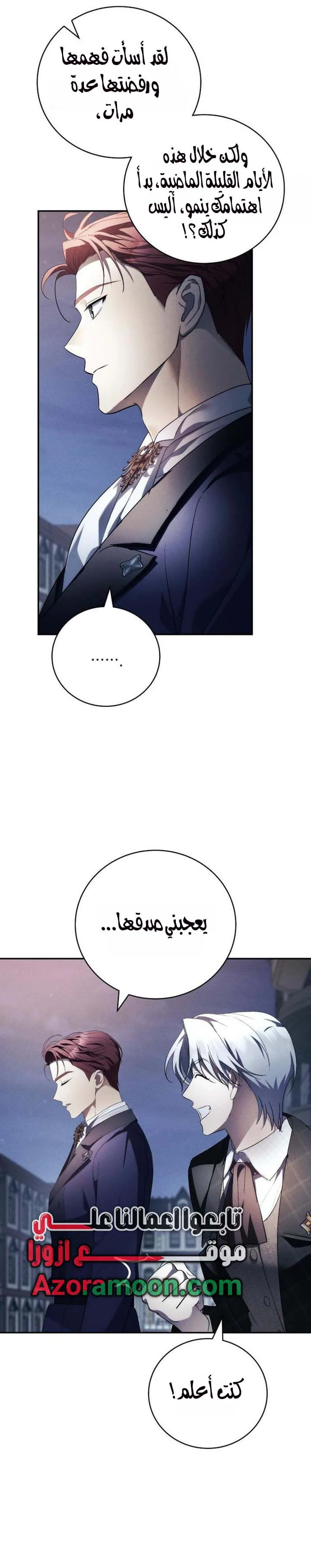 الصفحة 26