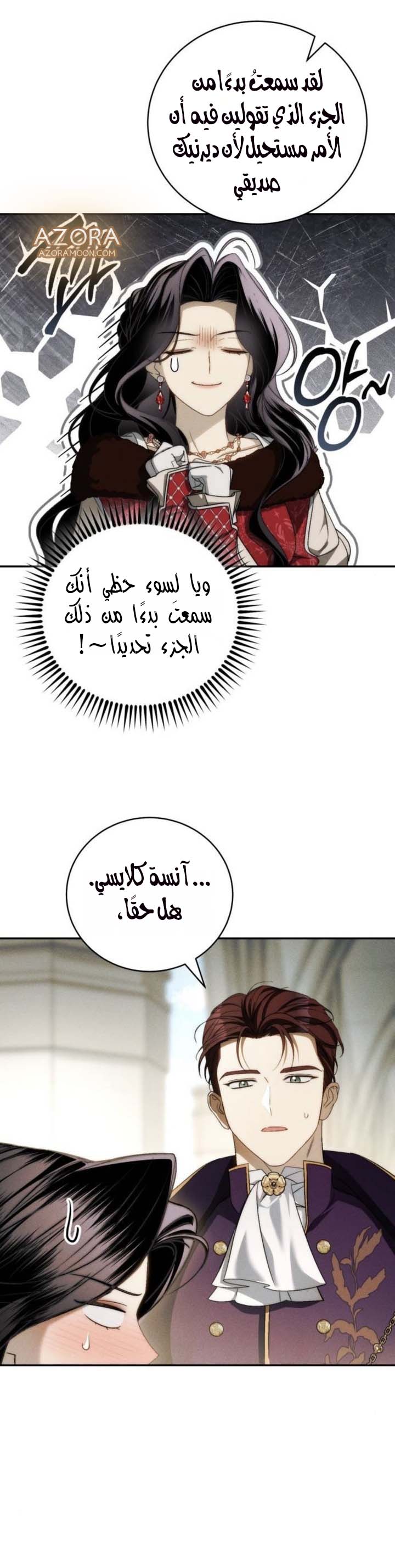 الصفحة 17