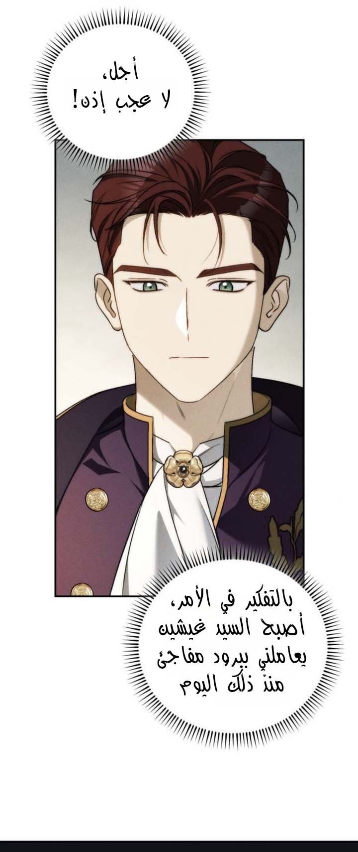 الصفحة 27