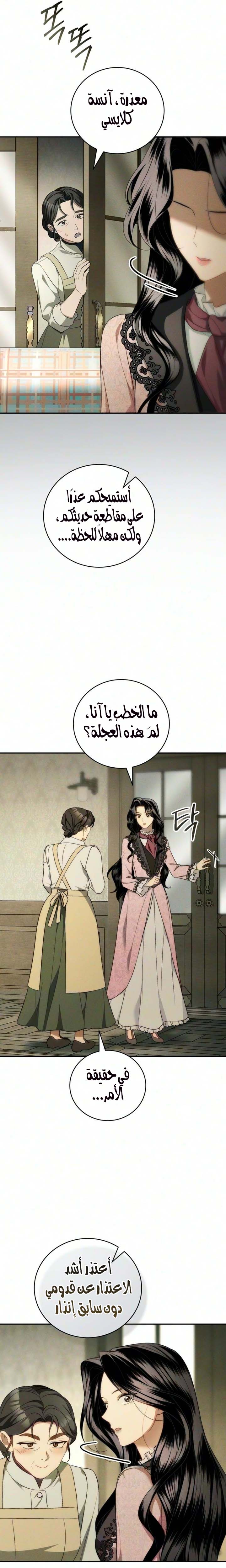 الصفحة 17