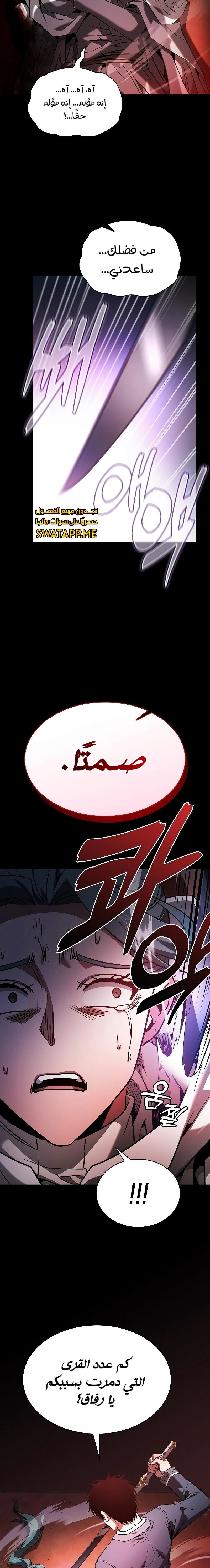 الصفحة 17