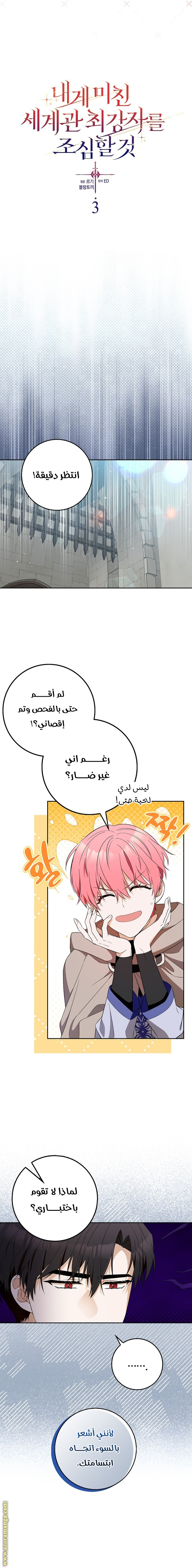 الصفحة 2