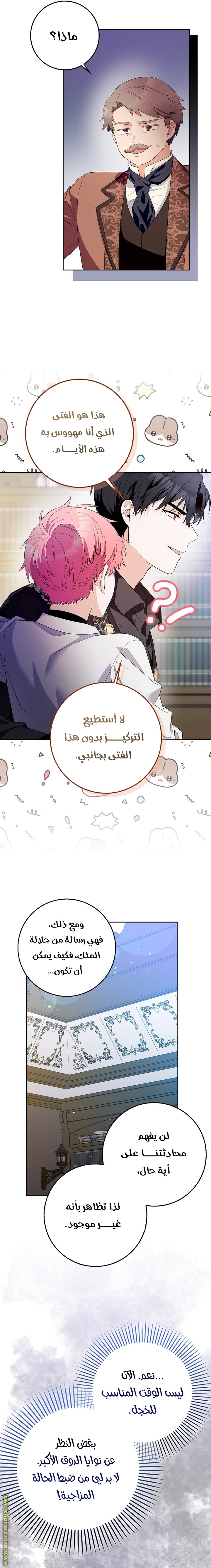 الصفحة 21