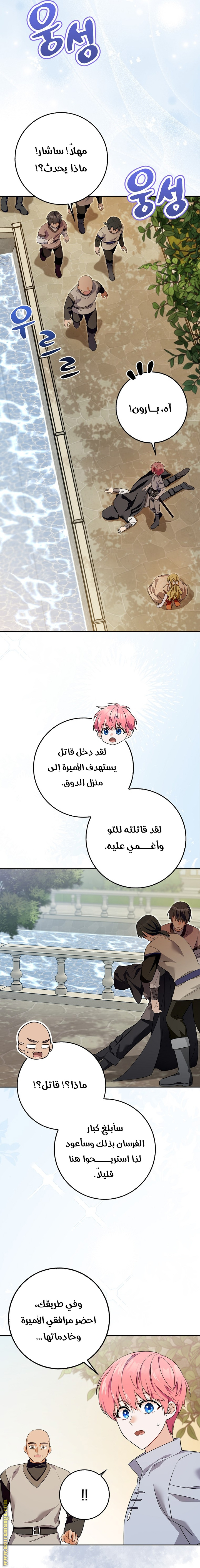 الصفحة 17