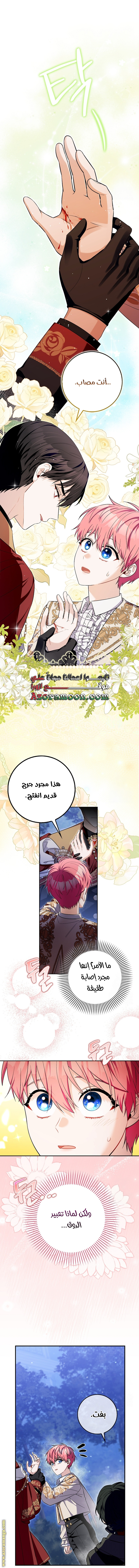الصفحة 24