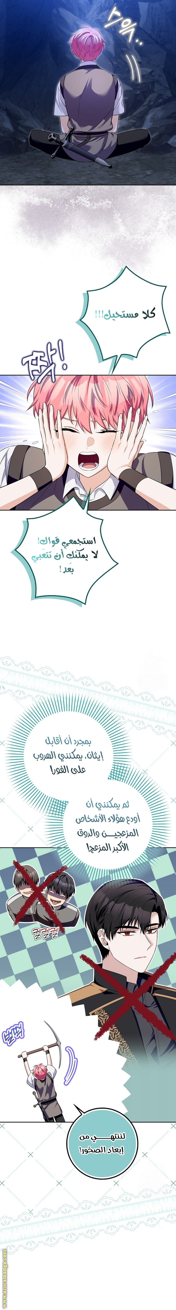 الصفحة 11