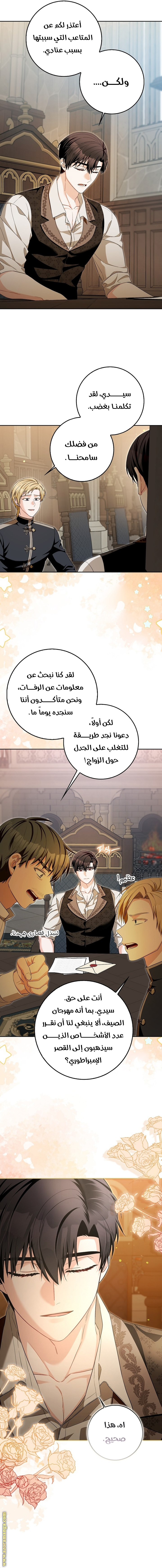 الصفحة 17