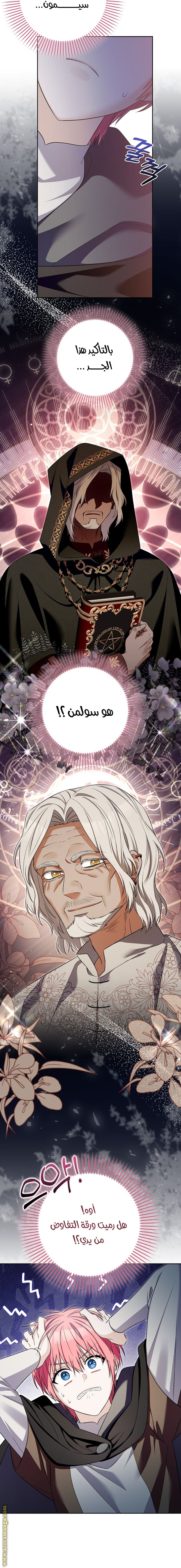 الصفحة 13