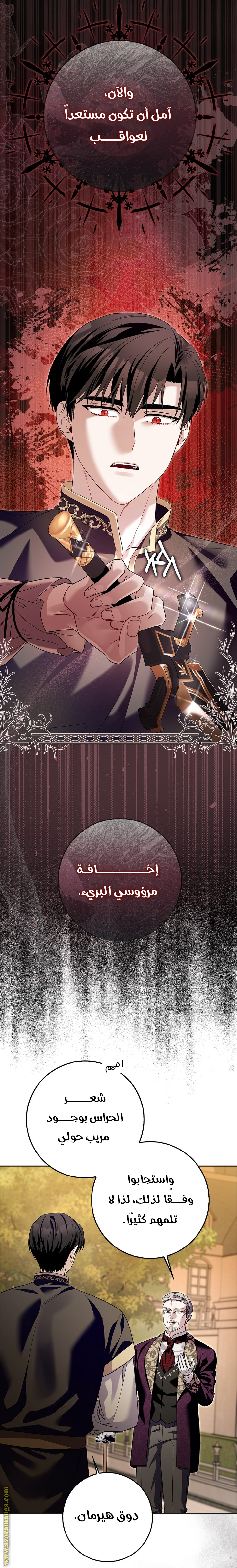 الصفحة 17