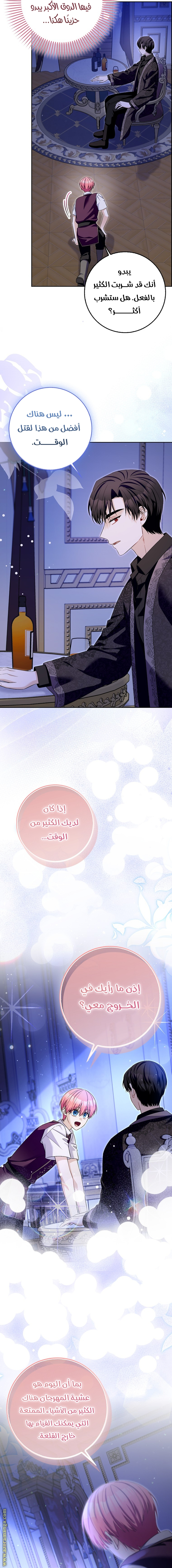 الصفحة 17